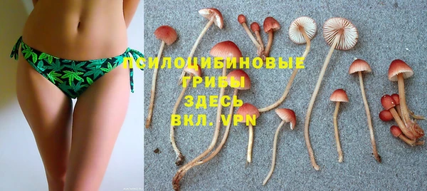 мяу мяу мука Алексин